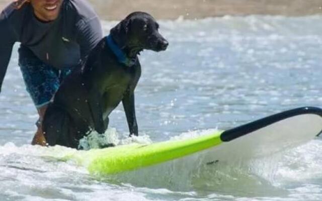 Cocobolo Guest House