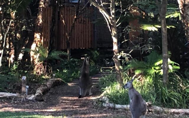 Wanderers Retreat Port Stephens