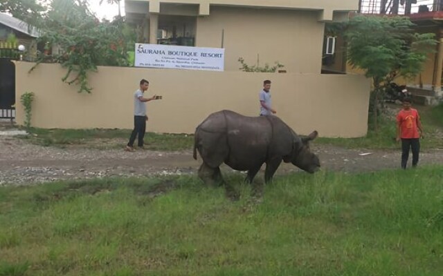 Sauraha Boutique Resort