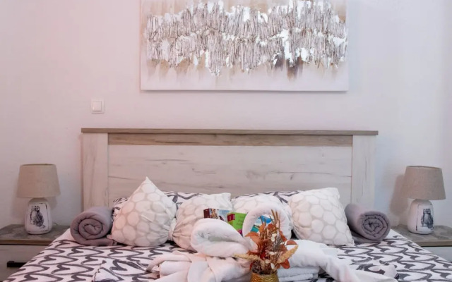 Authentic Dalmatian Treasure Homes