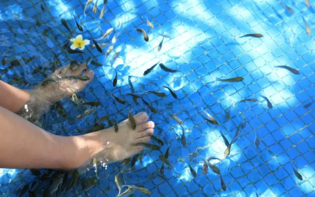 Four Seasons Ocean Courtyard  Sanya