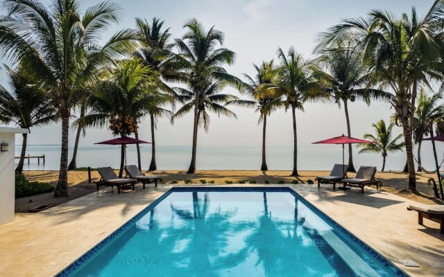 Coconut Row
