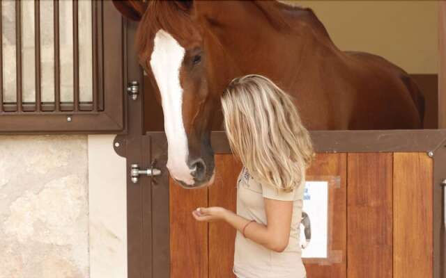 VMG Horse Ranch