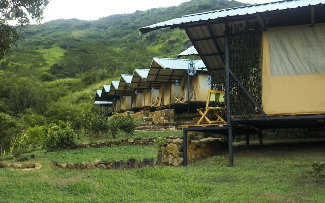 Wild Glamping Knuckles