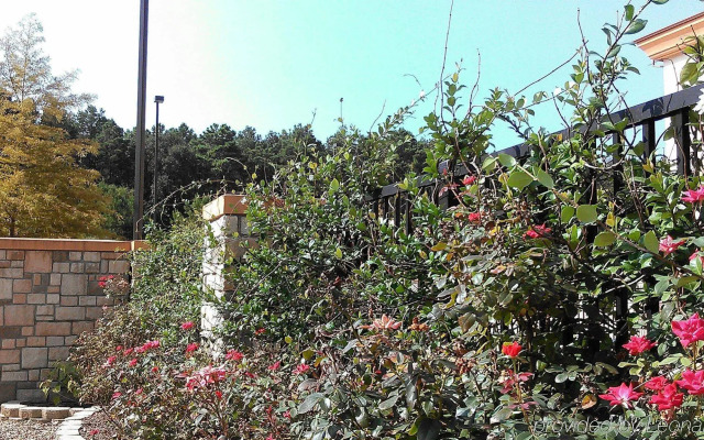 Holiday Inn Express & Suites Marshall by IHG