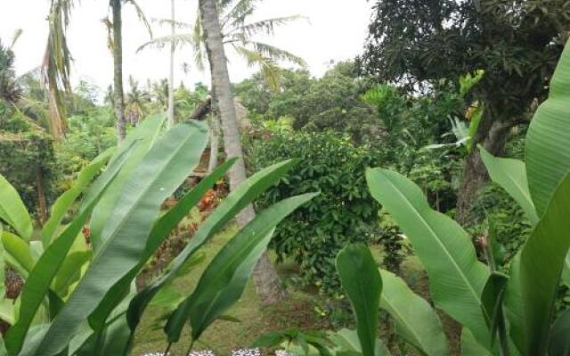 Villa Gede Batulumbang