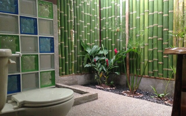 Jungle Lodge at Wild Sun Rescue