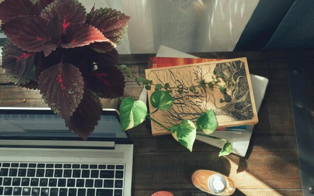 Auntie Lien's Homestay