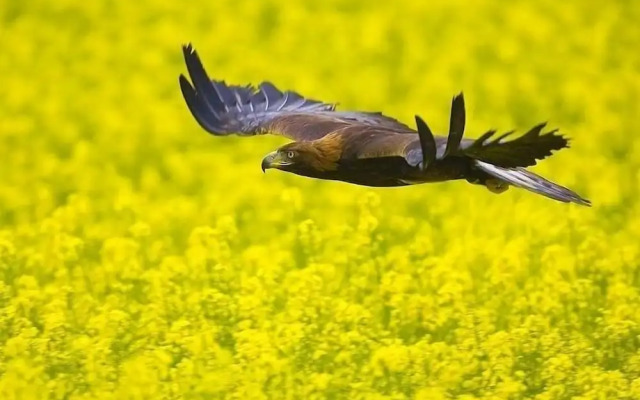 Schmankerl Hotel Bauer