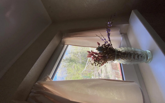 Апартаменты Усадьба