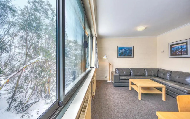 Snow Ski Apartments 09