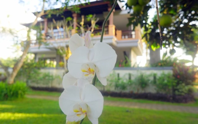 Villa Annapurna Bali