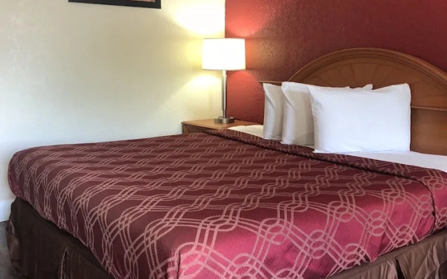 Red Roof Inn Pine Bluff