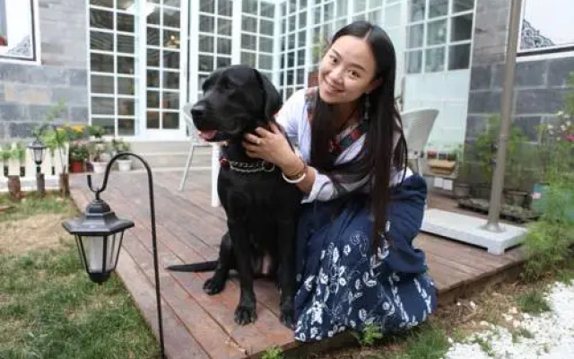 Dali Cactus Guest House