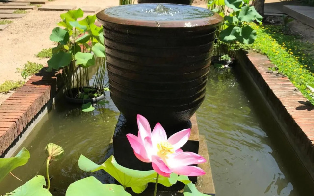 Seabirds Bed and Breakfast