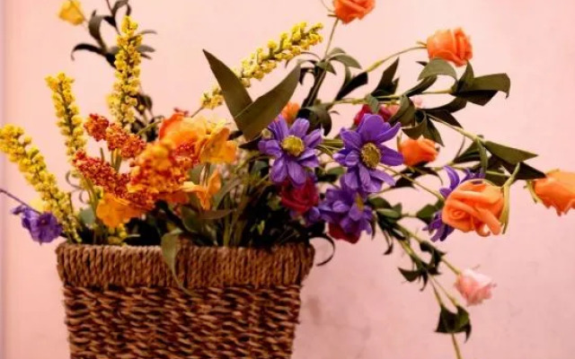 Shaoshanshaoyijuminsu