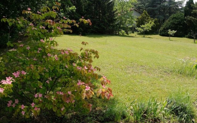 L'Assiolo B&B