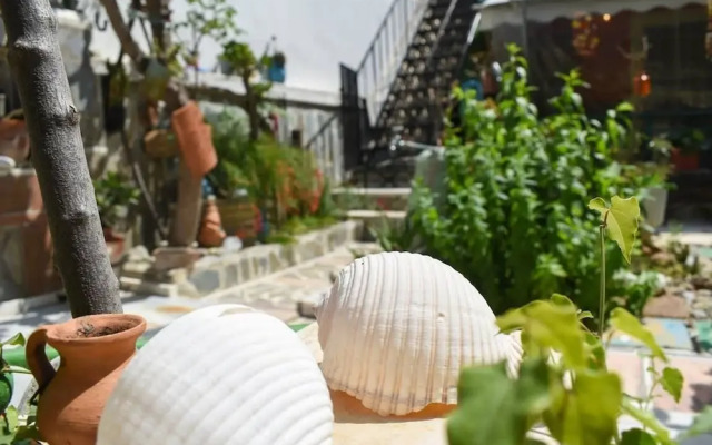 Urban Seaside Oasis - Adriana s Garden Paradise