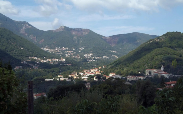 Tramonti Green