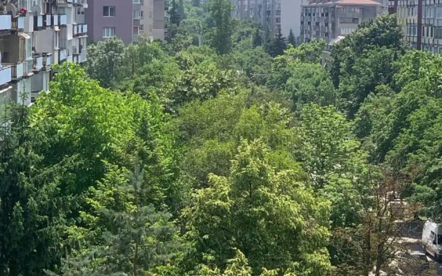 Smart Apartment Lilia 5