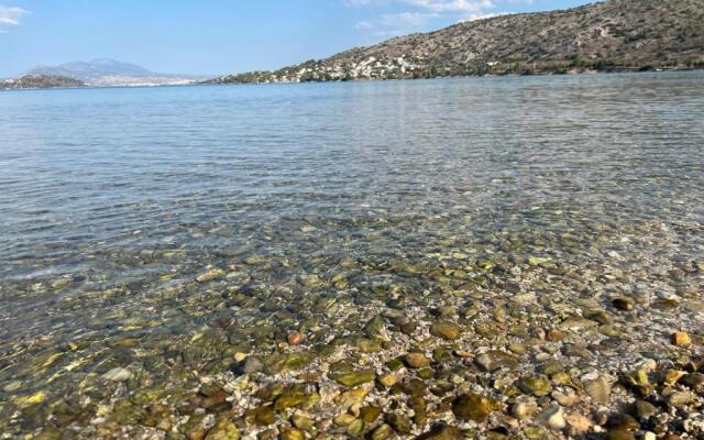 Oceanus Summer House