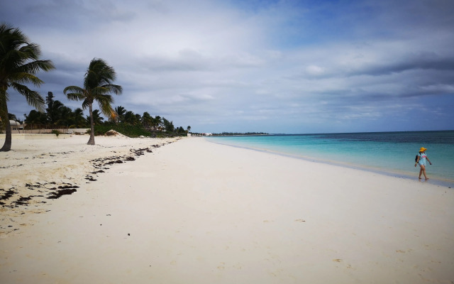 Coral Beach Hotel and Condominiums