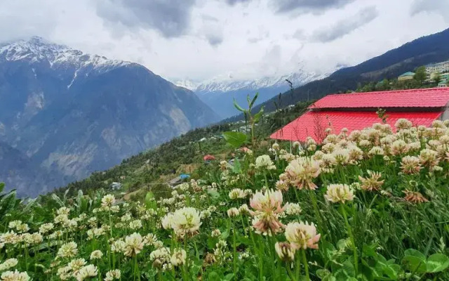 Mountain Rover Auli