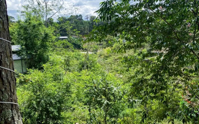 Nắng homestay