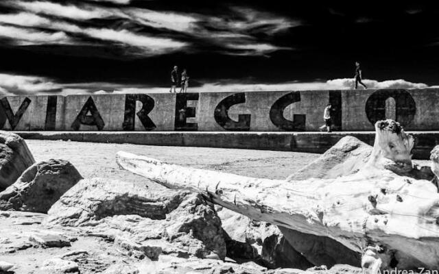 catalogImage
