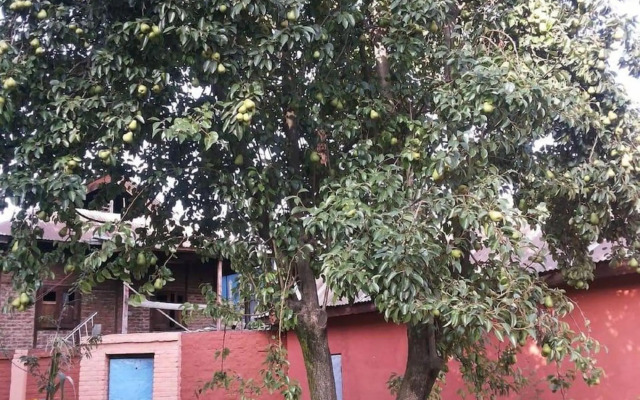 OYO 85927 Marias Hotel