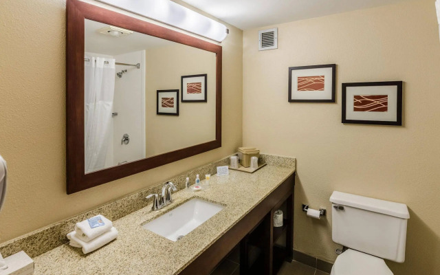 Comfort Inn Blacksburg University Area