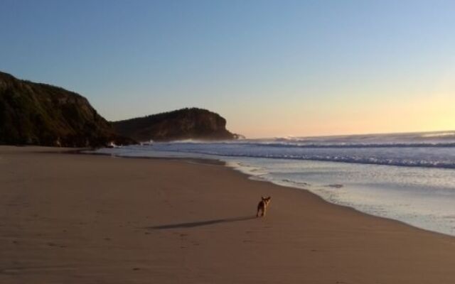 Seaview Bed and Breakfast