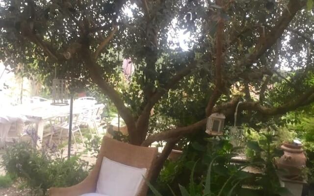 Il Cenacolo Di Sissi