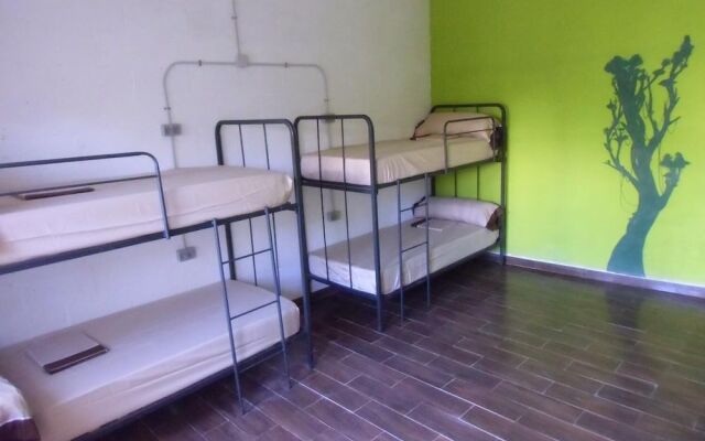 Hakuna Matata Hostel