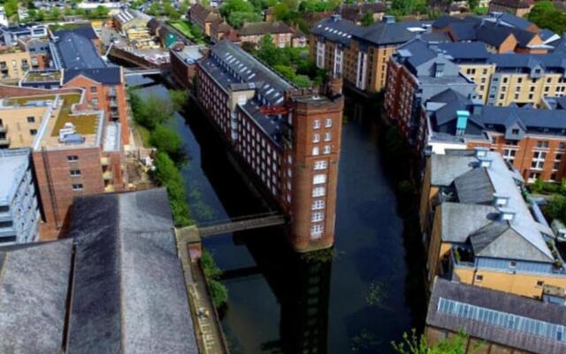 I Should Cocoa (York) - Seebohm