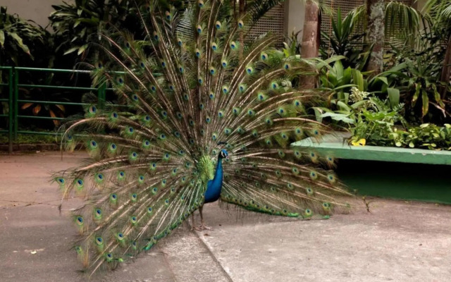 Santos Linda!! Apartment for Business and Leisure.