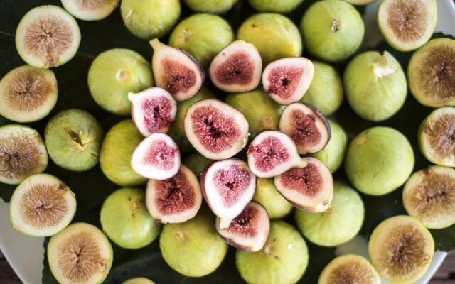 Herdade das Barradas da Serra