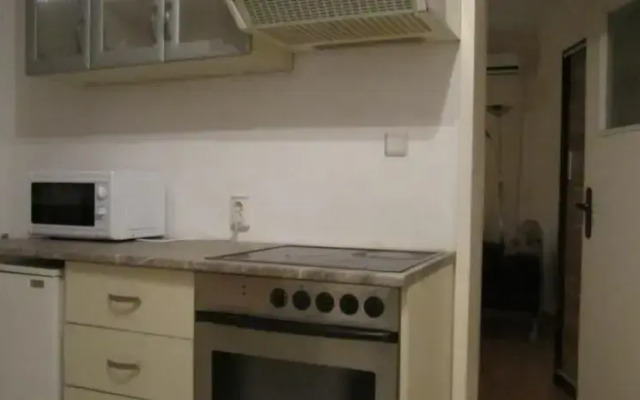 Fennec Fox Apparment