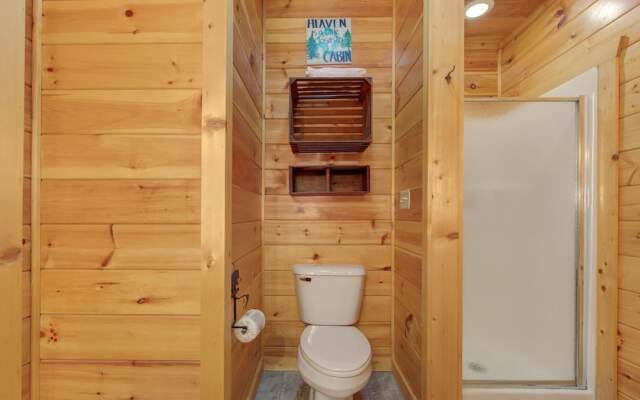 Bearly Makin It by Vtrips