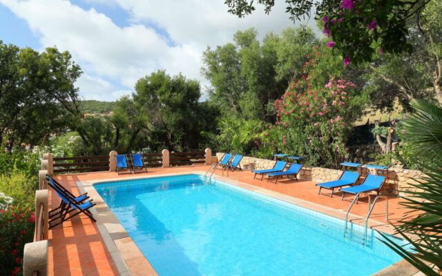 Bouganville 9878
