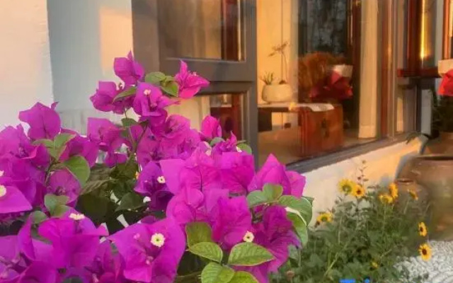Tiantai Chenmu Homestay (Tiantai Mountain Scenic Area)