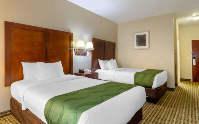 Holiday Inn Express Hotel & Suites Decatur-I-20 East (Panola Rd)