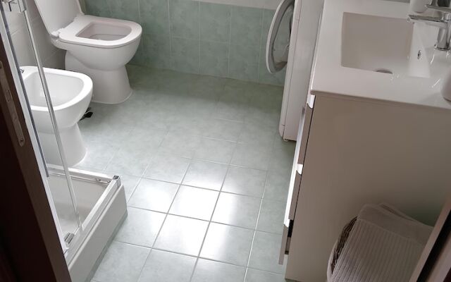 Neagas House Lissone