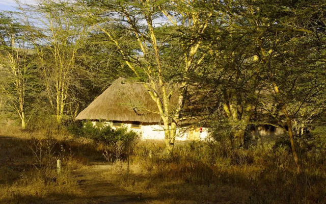 Kigio Wildlife Camp