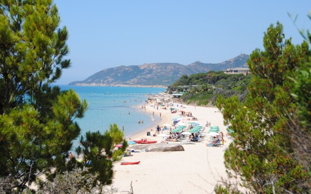 Una pineta sul Mare