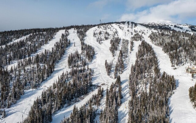 I Spy - Cozy Pet Friendly, Ski In/Ski Out Condo with Private Hot Tub