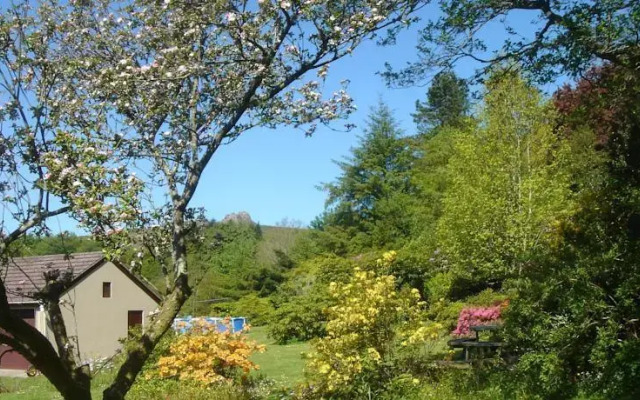 Brambly Wood B&B