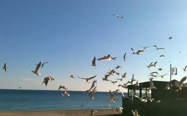 Villa Amore Taormina