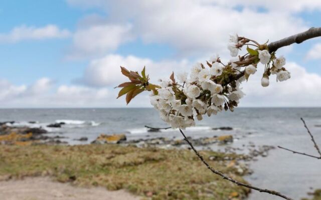 "Asa" - 150m from the sea in Bornholm