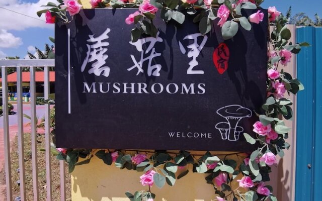 Mushrooms Inn